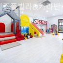 삐삐애견 이미지