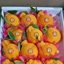 훈이청과 이미지