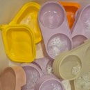 초량애견 이미지