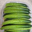 민숙농장 이미지