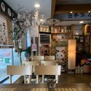 하나미일식 | 목동 돈까스 하나미 일식스타일 바삭한 맛이 일품이다.