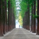 군위(춘천)휴게소 이미지