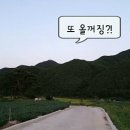 혜표