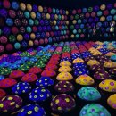 바이오플래닛 | 교토 아이랑 가볼만한 곳 TeamLab Biovortex Kyoto 팀랩 바이오보텍스 교토