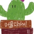 머물다가게