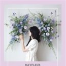 메이플레르