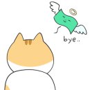 라피에나 이미지
