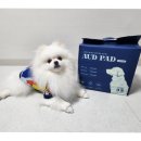 오드(AUD) 이미지