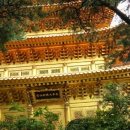 청주체육관 이미지