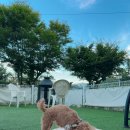 스위트몽 | 스위트몽 라보메 묵었어요 두번째 방문