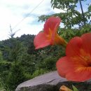 루의하루 이미지