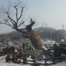 새천년농장 이미지