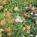 항몽유적지 이미지