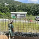 예안막국수 이미지