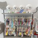 화이트썬데이 이미지