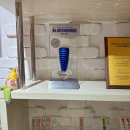 민치과기공소 | 울산치과 내 소중한 치아