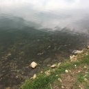 의림지-02 이미지