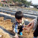 승민농장 이미지