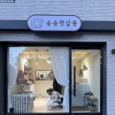 숑숑펫살롱 이미지