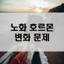 팀터틀랫 장유점 이미지