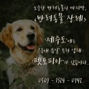 펫토피아지점