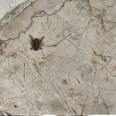 진하6길 | [한주일기] 남의 청모는 재미있다 25.07.01-06