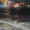 이상은 살아있다. 이미지