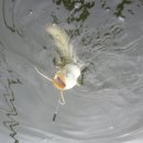 주봉낚시터 이미지