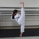 용인대범호태권도장 이미지