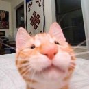 어스 | <일간 복숭아> :: 2025 어스 마라톤 후기