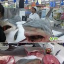 대륙수산 Daum카페