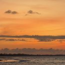 (유) 반딧불 | 코나키나발루 봉가완 반딧불투어 켈리가이드 옷 준비물 선셋사진 꿀팁총정리