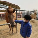 늘샘드리공립작은도서관 | 알프스 하이디 어린이집 소개해봅니다 (천안 아산)