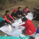 토닮 Daum카페