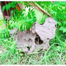 원삼농장 이미지