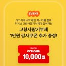 기브