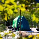 버들낚시터 이미지