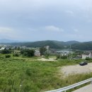 포레스트 173 이미지