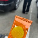 부산갈매기(원동점) 이미지