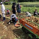 사랑농장 이미지