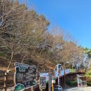 만덕백양체육공원 옆 | 백양산(부산)둘레길 중심 산행. 진입은 구포무장애숲길 서. 산행초반에 멋진 소나무숲도 통과 2026...