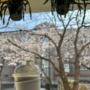 창범슈퍼 | 창원 진해군항제 실시간 후기: 아이와 함께 가기 좋은 식당, 카페 추천