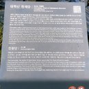 백두대간 4,5구간 (백복령~댓재)(댓재~죽령) 이미지