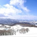 강릉목장 이미지