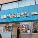 베베동물병원 이미지