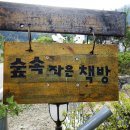 러브 스테이 이미지