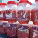 거창오미자영농조합법인 이미지