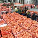 (주)드림유통 이미지