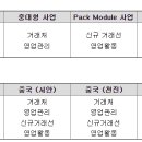 신흥전지
