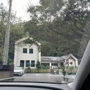 메리도그하우스 | 양주 애견동반펜션 메리도그 하우스 평일 방문 솔직후기